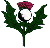 thistle